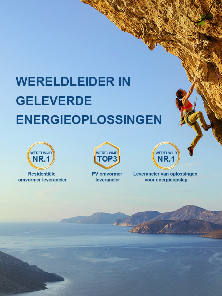 Growatt_Golbal_Leading_Distributed_Energy_Solution_Provider_Dutch.jpg